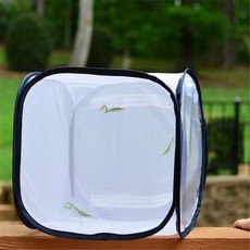 개미집 장수풍뎅이집 Foldable 곤충 나비 관측 케이지 그물 애완 동물 메뚜기 서식지 번식 인큐베이터 상자, A 30x30x30cm