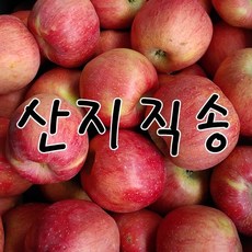 [2022년햇사과]] 청송사과 실속 쥬스용 10kg, 1박스, 02.갈아먹는 흠집사과 10kg 쥬스용-혼합과