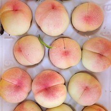 핵꿀맛 장호원 햇사레복숭아 선물용 3kg(7~8과) 백도, 단품