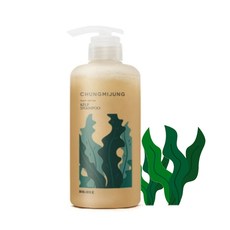 청미정 약산성 다시마샴푸+샘플 CHUNGMIJUNG Hair Shampoo 두피 비듬 개선 샴푸, 청미정+샘플