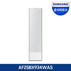 삼성 비스포크 무풍갤러리 청정 스탠드에어컨 AF25BX934WAS 전국 기본설치포함, 1.일반배관[S]