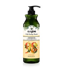 에코글램 스칼프 클렌징 샴푸 트윙클 시트러스, 1000ml, 1개