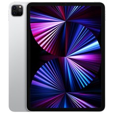 Apple 아이패드 프로 11 3세대 M1칩, 실버, 512GB, Wi-Fi