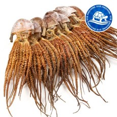 장수왕 피문어 (중자 35-40cm) 5마리 /말린 문어 제수용 약문어 건문어