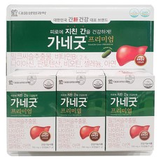 대웅생명과학 가네굿 프리미엄 진 밀크씨슬 세트, 63g, 1개