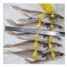조은상사 굴비10마리 1kg 1.2kg 1.3kg 침조기 긴가이석태 침조기굴비 굴비, 10마리, 침굴비1kg
