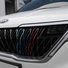 M-tech 카니발KA4 차량전용 라디에이터 그릴 퍼포먼스 데칼 국기 스티커 익스테리어 포인트 커버 신차용품, B.독일(운전석)