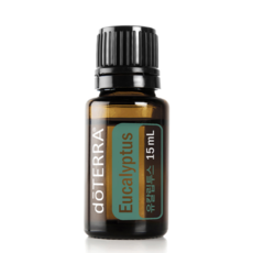 도테라 doTERRA 아로마 에센셜 오일 - 유칼립투스15ml (비염 알러지 감정진정) / 천연아로마 오일 / 아로마테라피, 도테라 유칼립투스(15ml)