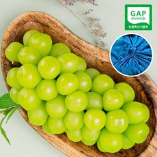 GAP 김천 샤인머스켓 망고포도, 특등급 선물용 2kg, 3수