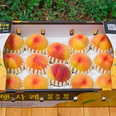 이천 장호원햇사레복숭아 2kg 3kg 감곡 딱딱이 말랑이복숭아, 1박스, 백도복숭아3kg 8과