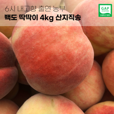 6시내고향 출연농부 경북 영천 백도 딱딱이 복숭아 2kg 4kg 산지직송, 1번. 2kg (5~8과)