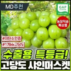 [농장직송] 최고급 수출용 샤인머스켓 김천 고당도 포도 망고포도 청포도 제철 과일 애플 명절선물세트 하이푸드랩, 샤인머스켓 특등급 4kg (5~6송이)