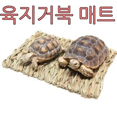 아디펫샵 육지거북 매트 바닥재 짚매트, 색상랜덤, 1개