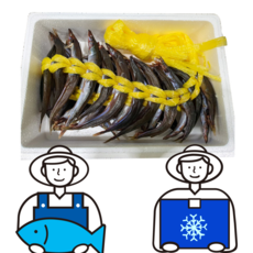 동해바다 반건조 양미리 20마리