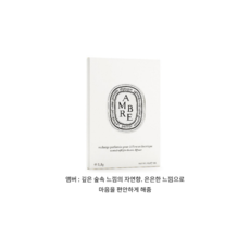 딥티크 차량용 방향제 본품 리필 베이 34번가 진저, 엠버 단품개