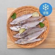 마다가스카르 대서양 조기 (냉동), 820g, 1개
