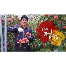 산지직송 싱싱하고 맛있는 싸다싸 못난이사과 5kg 10kg, 가성비 사과 16~20과 흠과 5KG