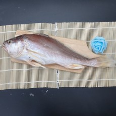 선우수산 반건조생선 제수용 침조기(긴가이석태) 480g, 1마리