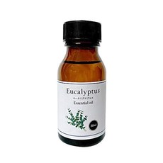 천연 100 유칼립투스 글로블 오일 50ml 아로마 오일 유칼립투스