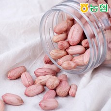 [감동] 고창 대성 농협 땅콩, 1box, 생알땅콩1kg