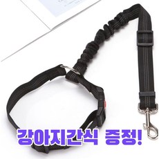 강아지 안전벨트 차량용 반려견 목줄 애견 충격흡수 리드줄, 그레이+츄르영양제