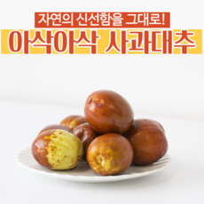 국내산 생 사과대추 대추사과 왕대추, 사과 대추 1kg