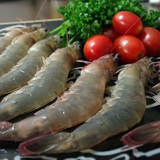 신안새우 신안 프리미엄 국내산 왕새우 새우, 1개, 왕새우(생물) 1kg(40-45미)