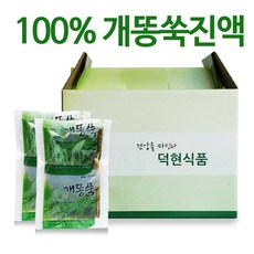 국내산100% 개똥쑥즙/개똥쑥진액 덕현식품, 50개, 110ml