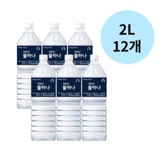 화인바이오 지리산 물하나 2L 12개