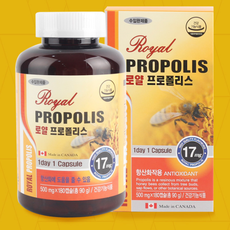목에 좋은 선물 프로폴리스 영양제 항산화 캐나다 직수입 식약처인증 제품 스트레스 수면부족 항산화작용 염증에좋은, 기본 6개월분