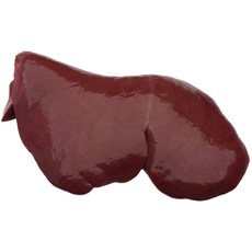 돌핀양갈비 양간 최상급 뉴질랜드산 내장류+소스4종, 1.6kg (800gx2)