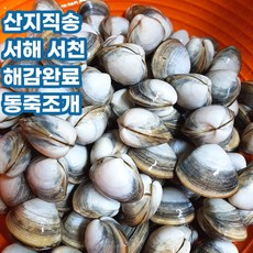 산지직송 서해안 서천 해감 동죽 동죽조개 물총조개 1kg 2kg 3kg 5kg, 동죽조개_2kg