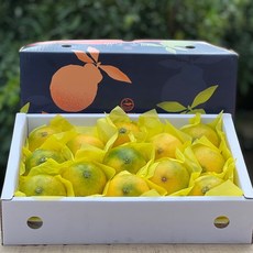 제주 효돈 고당도 황금향 가정용 선물용 1kg 1.5kg 2.5kg 4.5kg, 4.5KG 가정용 소과(25-35과 내외)