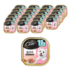 시저 반려견 주식캔 시니어 11세 이상 닭고기, 닭, 100g, 24개