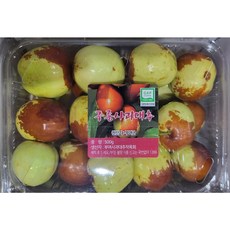 사과대추 생대추 왕대추 1kg 2kg (경산 보은 부여)