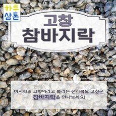 (당일배송 무료배송)고창 참바지락 3kg 5kg (해감완료), 참바지락 5kg