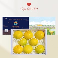 [우체국쇼핑] 천하일품 제주 황금향 선물세트2kg 중소과 (8-12과 내외), 상세 설명 참조