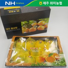 선물세트 제주 위미농협 황금향 2.5kg(9-13과), 단품