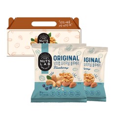 넛츠랩 오리지널 블루베리 견과 선물세트 20g x 20p, 1세트