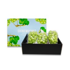 가든포레스트 자인농협 샤인머스켓 선물세트 2kg(2-3수), 단품없음