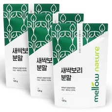 제주 새싹보리 분말 국산, 3개, 120g