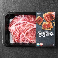 생생한우 1등급이상 등심 구이용 (냉장), 200g, 1개