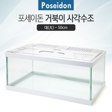 포세이돈 거북이 사각수조 화이트 대 50cm, 1개