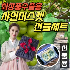 프리미엄 샤인머스켓 선물세트 고급 보자기 씨없는 포도 샤이머스캣 추석 과일 선물 세트, <c.1> 명절선물용 1.2kg~1.4kg(2수)