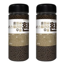홍화씨 우슬 보스웰리아 환 400g(200g*2) 번들 홍보우환, 200g, 2개