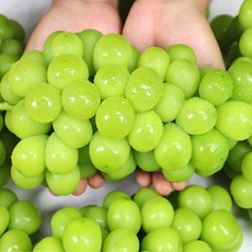 얇은껍질 높은당도 김천 황금 샤인머스켓 2kg 4kg, 황금 샤인머스켓 4kg