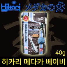 Hikari 히카리 메다카 베이비(40g)/0.2mm/발색효과