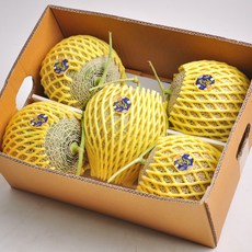 [MD강추] 명절 메론 선물세트 8kg, 메론 선물세트 8kg(5수)