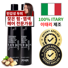 에코스라인 이태리 100% 제조 판매 1위 오가닉 이중 케어 프로페셔널 카본9 차콜 샴푸, 2개, 350ml