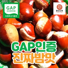 GAP 우수관리인증 햇밤 옥광밤 밤 알밤 깐밤 친환경 재배 무농약 굿뜨래 충남 부여 농장 산지직송, GAP인증 알밤(특대)2kg